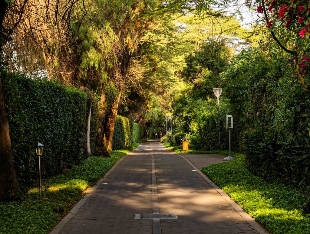 Go the Scenic Route: A Trail Through Nature, Wellness, and Slower Adventure