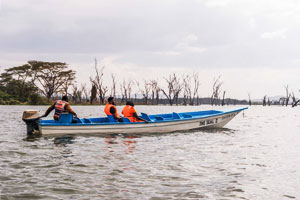 Boat safari