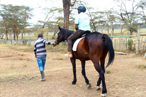Horse riding experience