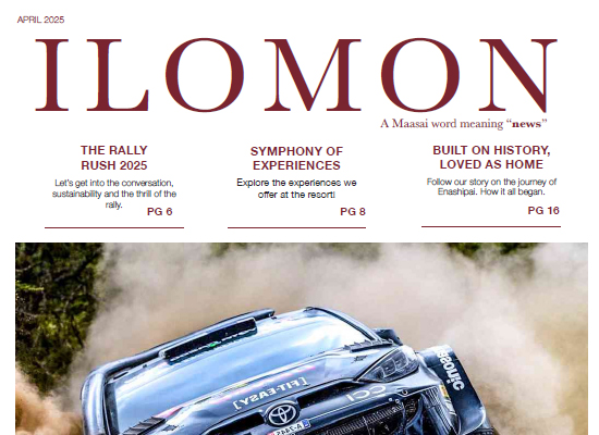 Ilomon – APRIL 2025