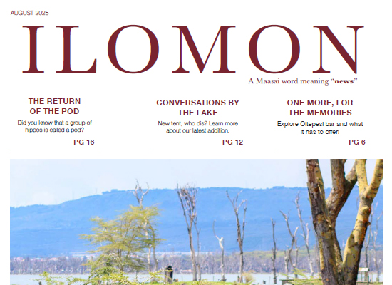 Ilomon – AUGUST 2025