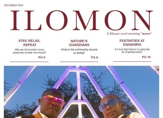 Ilomon – DECEMBER 2024