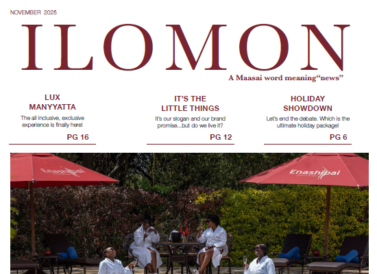 Ilomon – NOVEMBER 2025