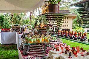 Outside catering set up