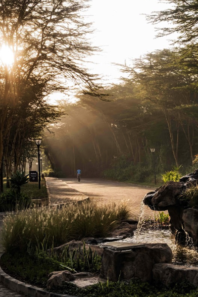 Walking Trail