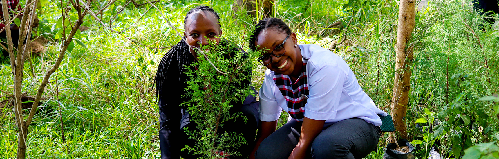 Sustainability Banner