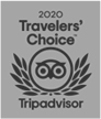Tripadvisor Travelers’ Choice 2020 logo
