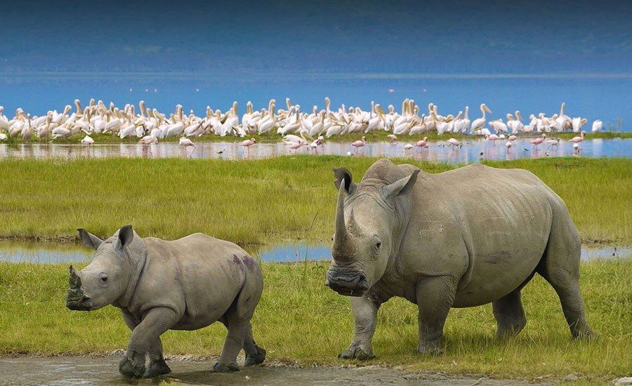 Lake Nakuru National Park