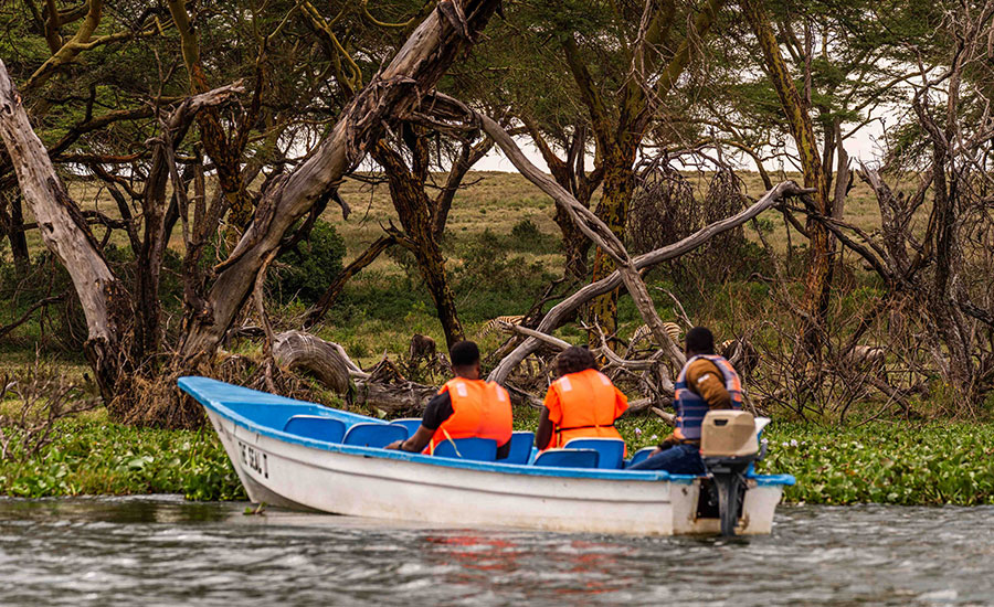 Naivasha Wildlife Spotting Checklist