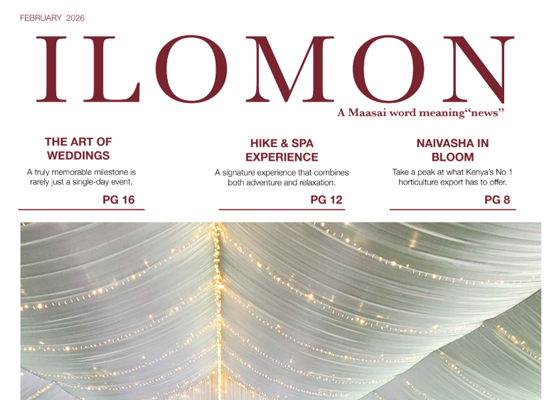 Ilomon – February 2026